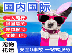 哈密伊州航空邮寄国际宠物托运 【国